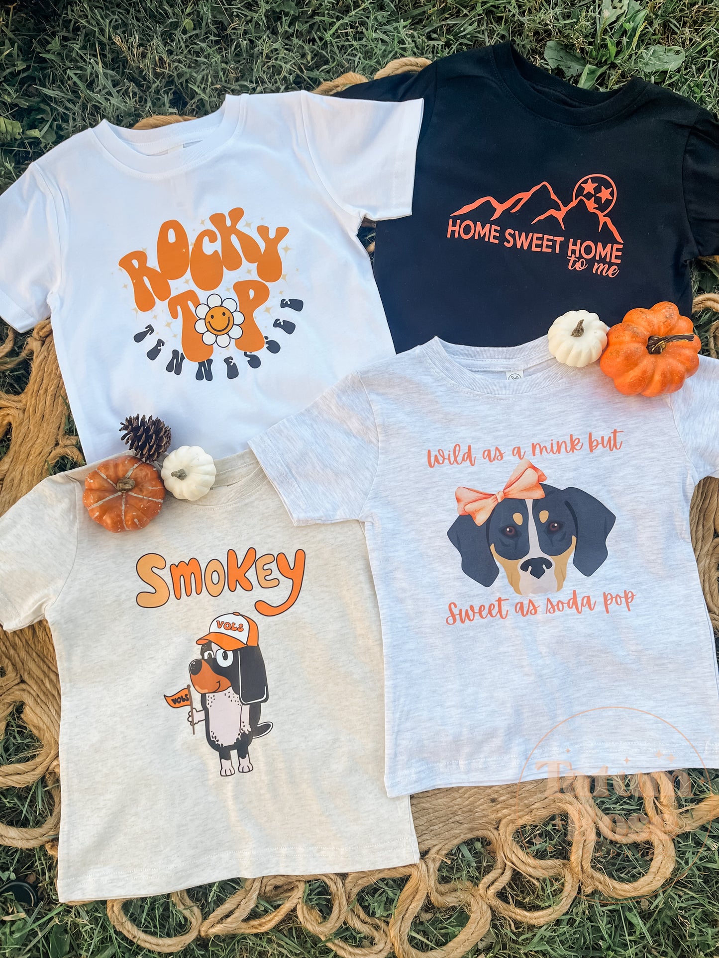 Rocky Top Toddler Tee